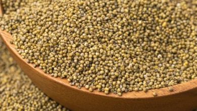 What are the benefits of eating Kodo?
