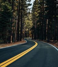 The world’s 5 longest highway