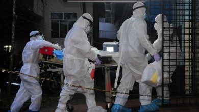 Researchers reveal the mystery of the “killer” nipah virus