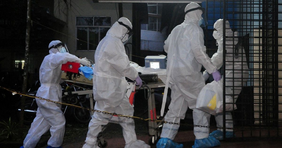 Researchers reveal the mystery of the “killer” nipah virus