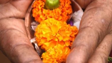 How do you get rid of Pitra Dosha on Falgun Amavasya?