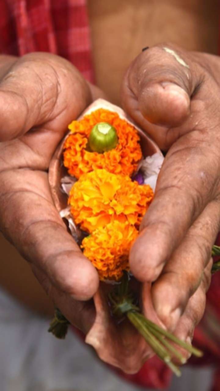 How do you get rid of Pitra Dosha on Falgun Amavasya?