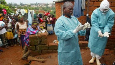 World Health: 8 Deaths in Tanzania with the suspicion of the Marburg virus