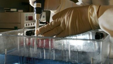 Study: A new genetic mechanism behind the development of aggressive bone cancer