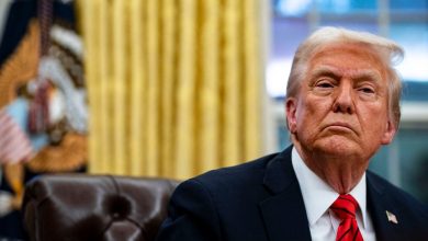 Trump is on his way to laying up customs to counter digital tax on US businesses