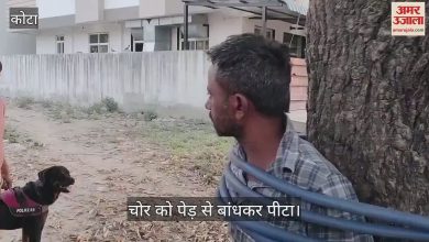The most latest news of the quota