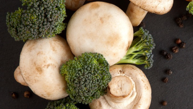 Mushroom is a blessing to health