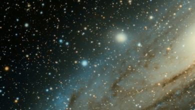 The oldest planet of the universe