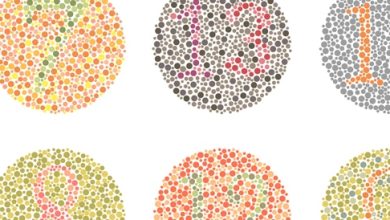 Color blindness test: How to conduct the investigation and analysis of the results