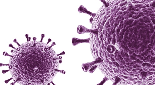 Herpes -analysis pcr: how to perform the investigation and analysis of the results