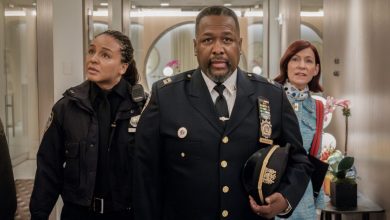 12 Broadway Cameos in CBS’s Elsbeth