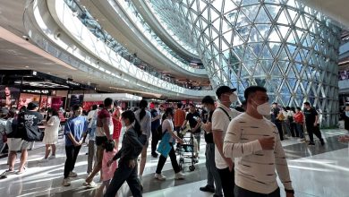 After spreading in China … all you want to know about the HMPV virus
