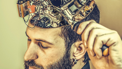 Real difference between brain and spirit?