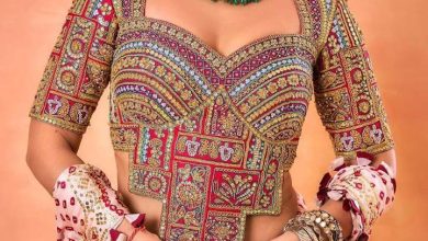 Maha Shivratri 2025: Simple sari will get modern look, choose celebs like blouses
