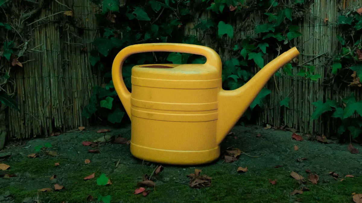 Best water for garden: nurture your plants