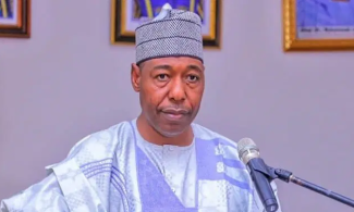 Borno government warns against ‘irregular’ social media behavior among youth