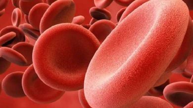 Which vitamin dilutes the blood?