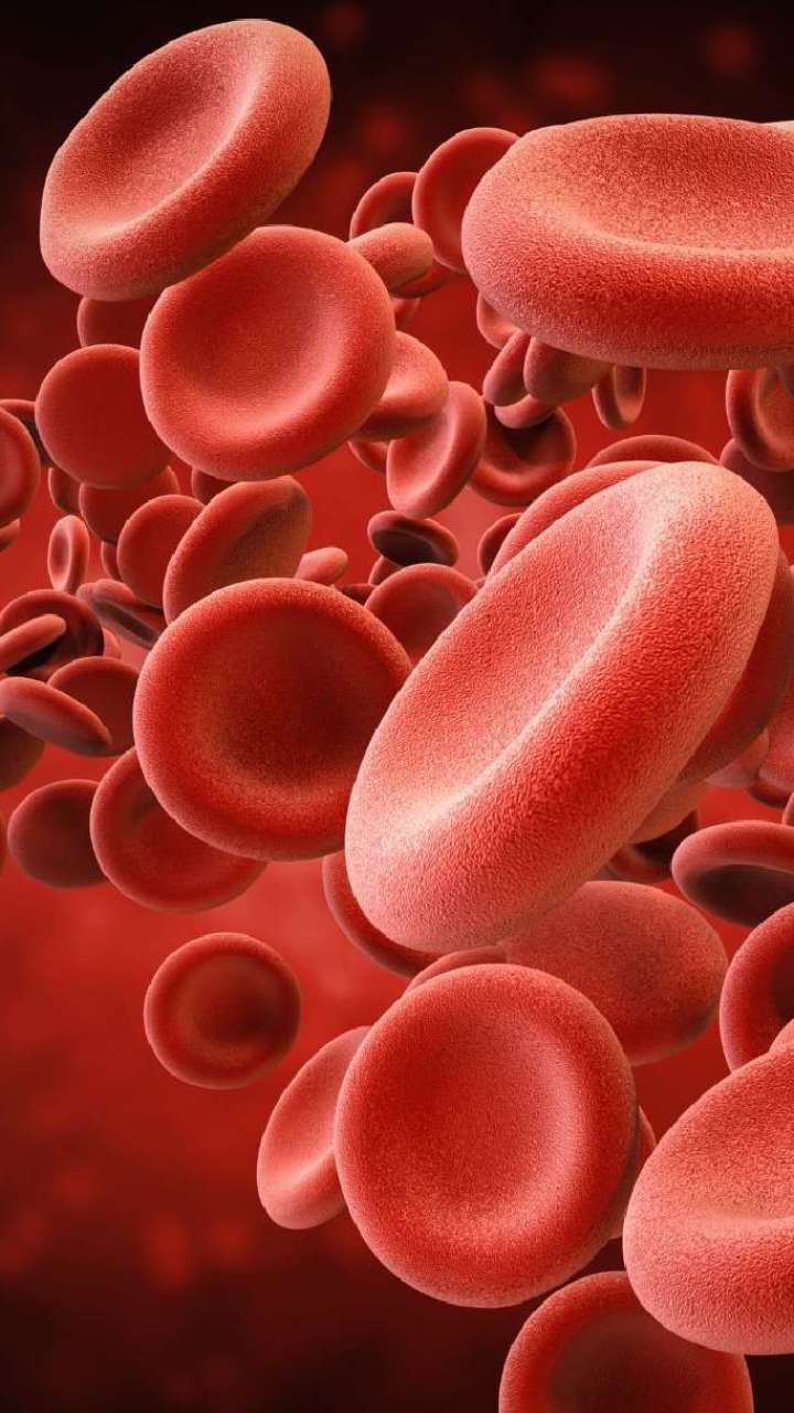 Which vitamin dilutes the blood?
