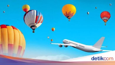 19 pilots report disruption of wild air balloon