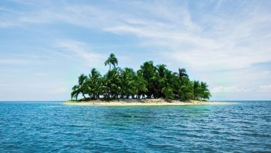 What the Norfolk! Distance from the Australian island with 29% Trump tariff due to ‘wrong marked’ Consignments | Today news