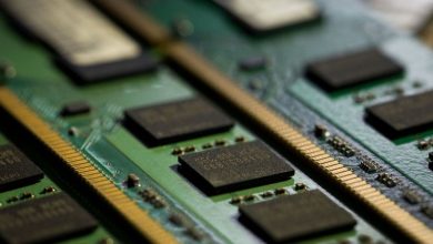 Samba Nova: We are working to transfer the expertise of chips to the Saudi Market