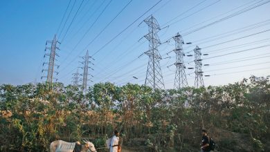 Iex signs electricity traded volume of 121 billion units in FY25 on higher demand | Mint