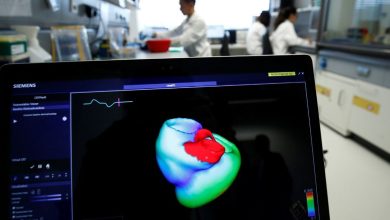 A new genetic treatment for heart failure achieves ‘impressive results’ during experiments