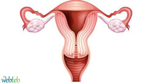 Cervical Cancer: Causes, Symptoms and Treatment