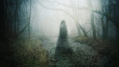 Sometimes a body is found, sometimes people are missing … see a village in Rajasthan in the video where the mysterious ‘fear’ is still