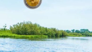 What happens by placing a coin in the Ganges River?