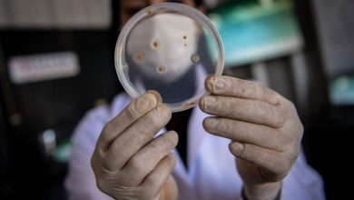 “Darbackin” .. a possible new treatment for medicine -resistant bacteria