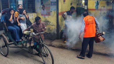 Dengue fever wipes Bangladesh and so far records 400 deaths