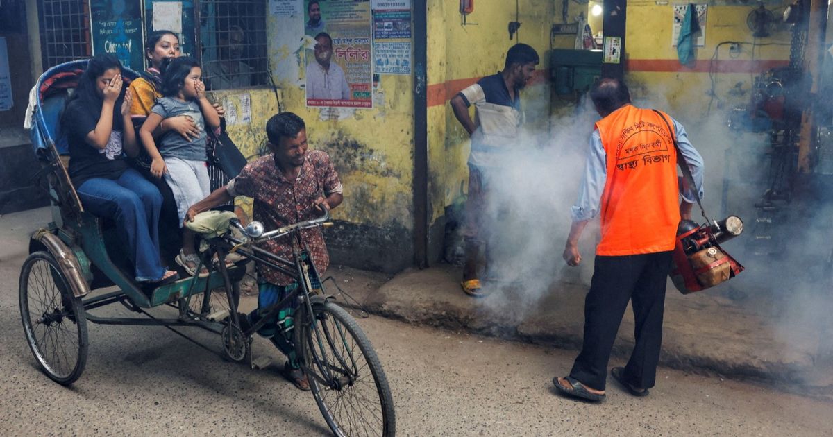 Dengue fever wipes Bangladesh and so far records 400 deaths
