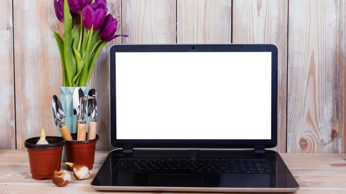 MacBook vs Windows Laptop: The Battle for Your Table’s Throne