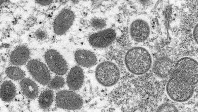 A new demo vaccine can eliminate monkeys