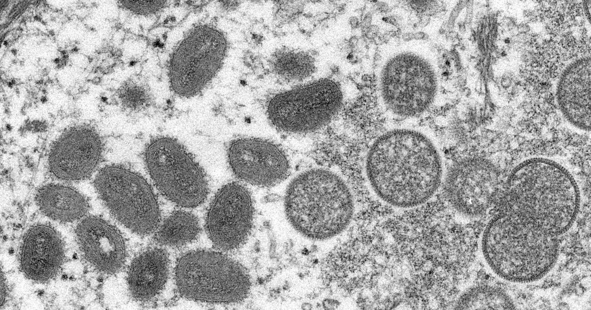 A new demo vaccine can eliminate monkeys
