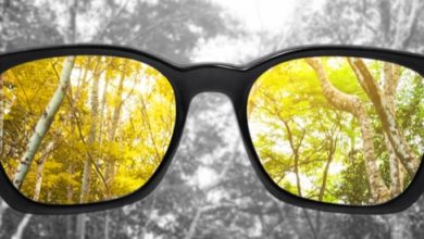 Color blindness: symptoms, causes and treatment