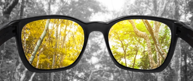 Color blindness: symptoms, causes and treatment