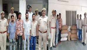 In Banswara, a gang that steals grain from Godowns, Loharia police have arrested four accused