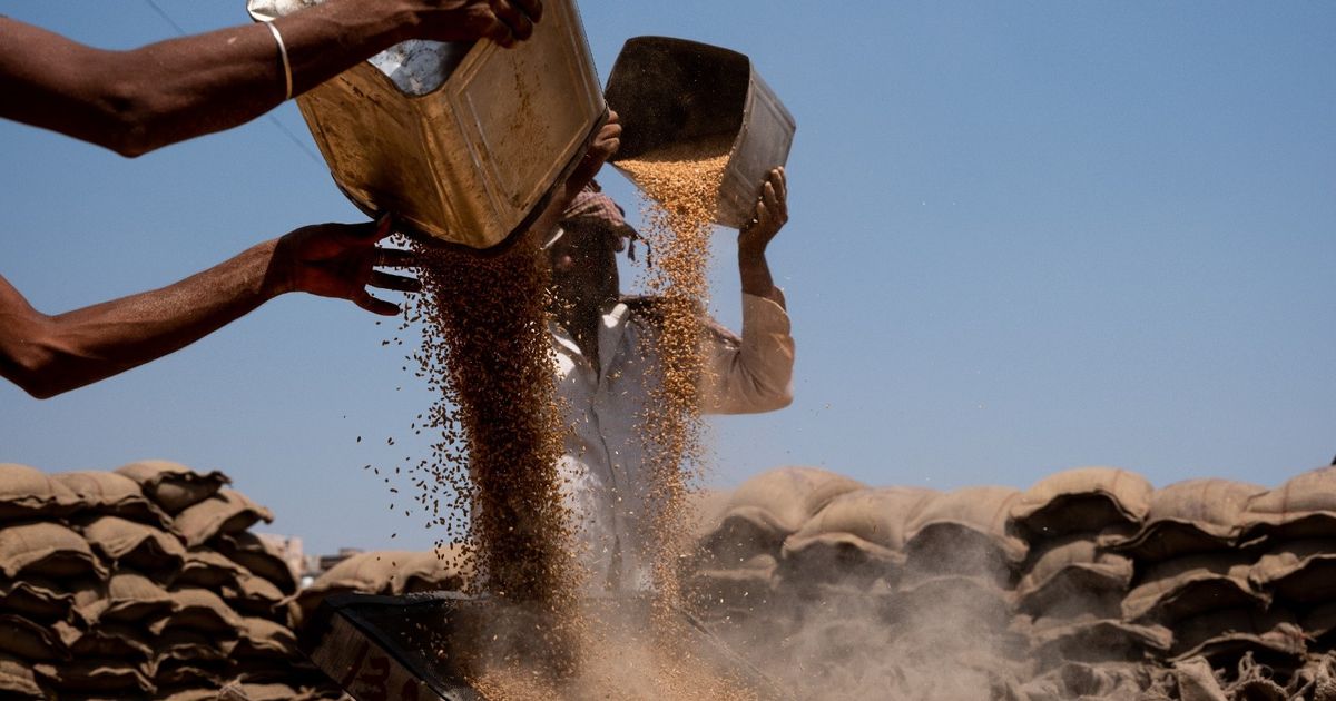 The price of wheat is still rising and the world’s supplies are in danger
