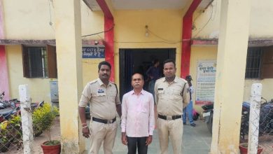 MP-CG News: Better Nutrition Arrested in IPL, frightened by street dogs