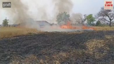 Jhansi’s latest news