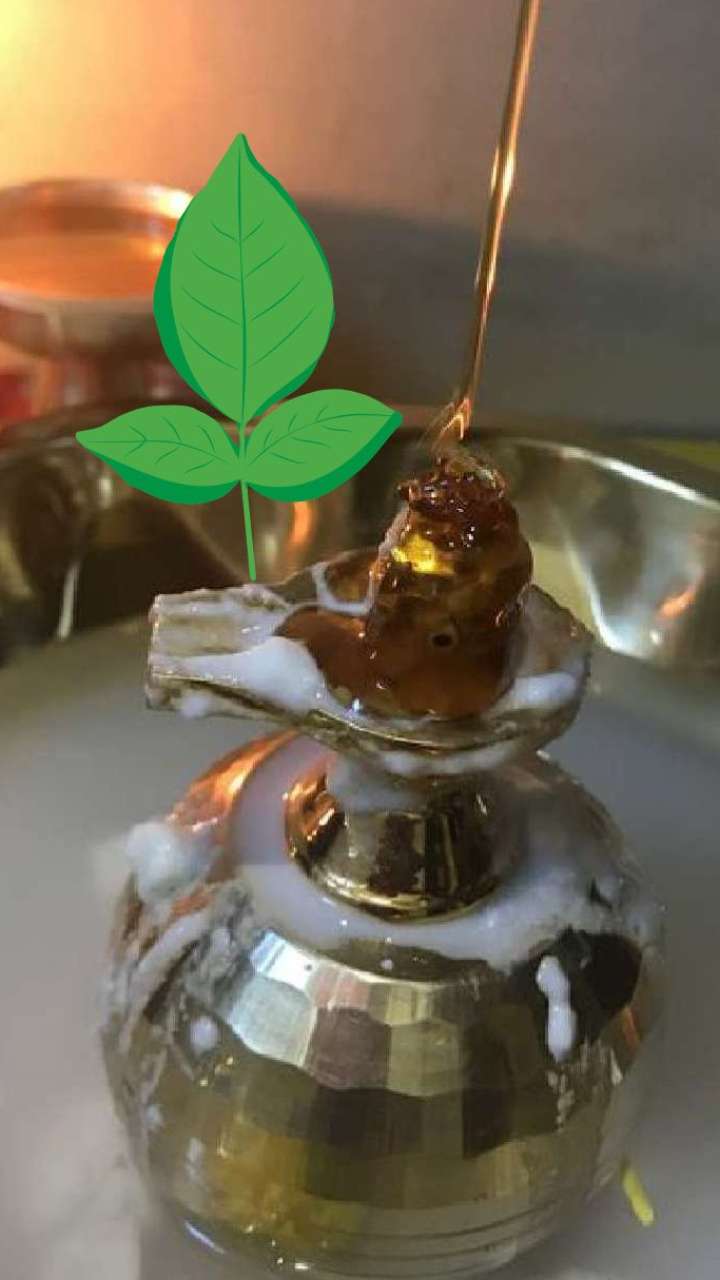 What happens by putting honey on the Belpatra on the Shivling?