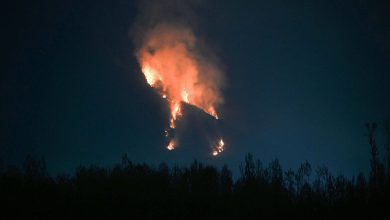 A fire, a mushroom and Kashmir’s disappearing spring