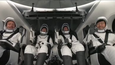 Four astronauts returned to Earth from private flight by circling North and South Pole, made history – ryan