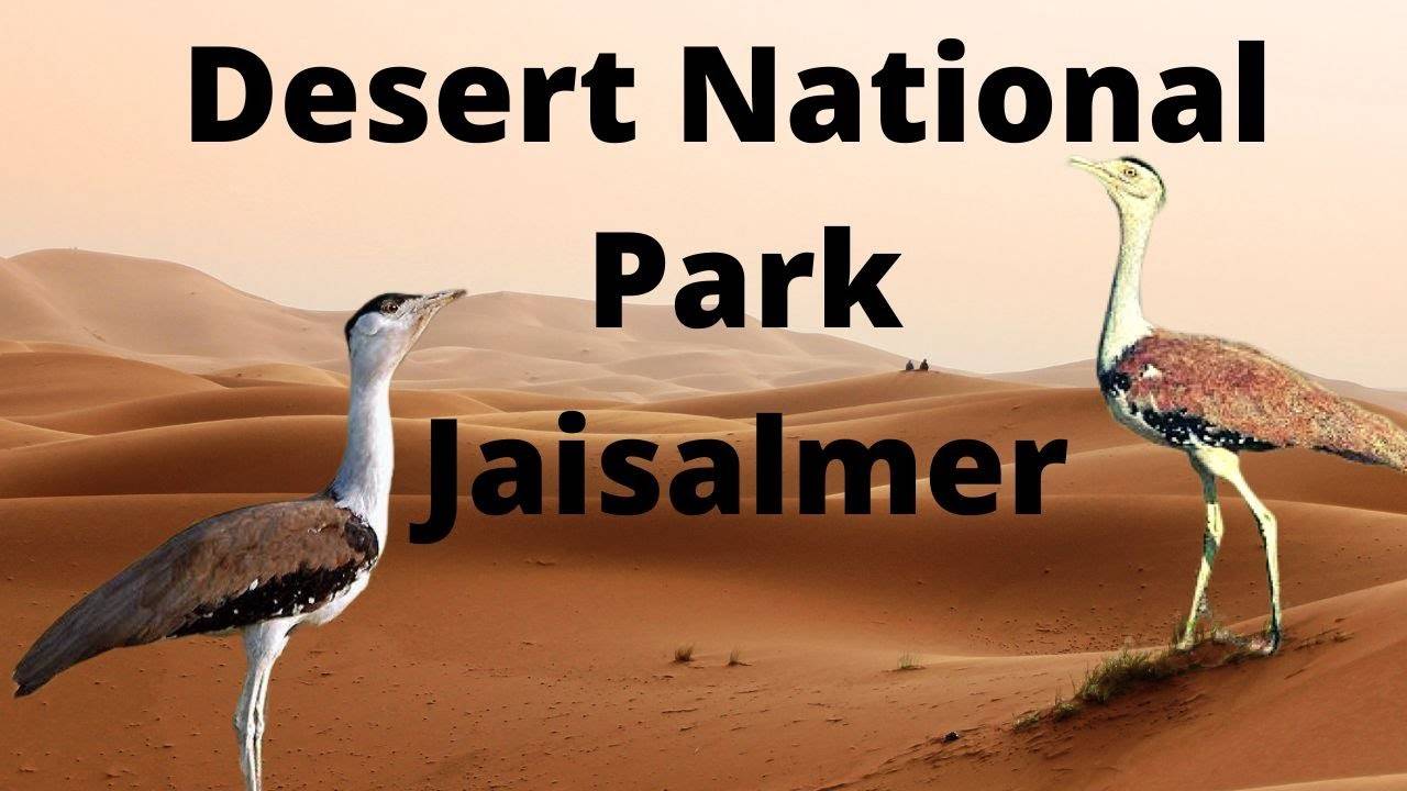 In this 5 -minute video, do the virtual tour through the Desert National Park that is established in the desert, you will also want to walk