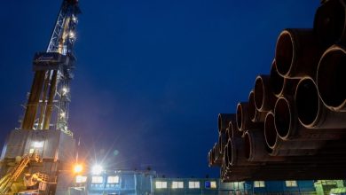 5 Commodities brought the market to the market this week after the price of eggs and the cobalt ban was increased