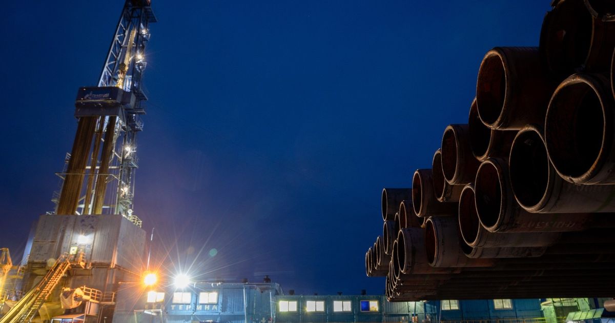 5 Commodities brought the market to the market this week after the price of eggs and the cobalt ban was increased
