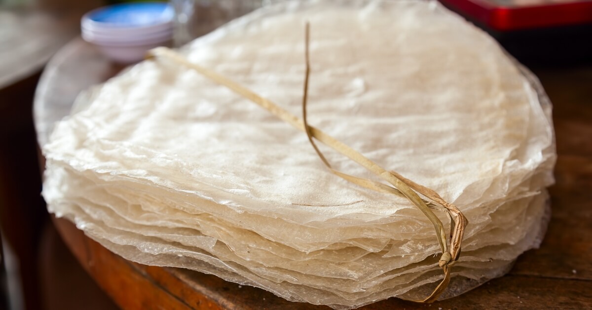 Spring Roll – Web Medicine
