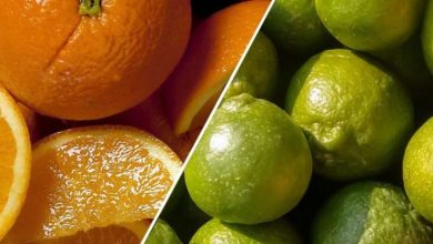 What is the difference between oranges and kinu? File